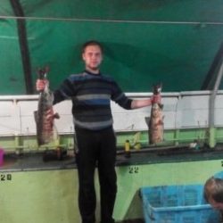 Парень ищет девушку для встречи и не только в Чебоксарах Парень ищет девушку для встречи и не только в Чебоксарах